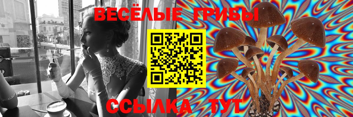 Псилоцибиновые грибы MAGIC MUSHROOMS Самара